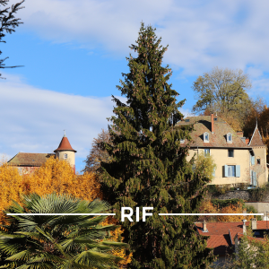 acheter-une-maison-tour-du-pin