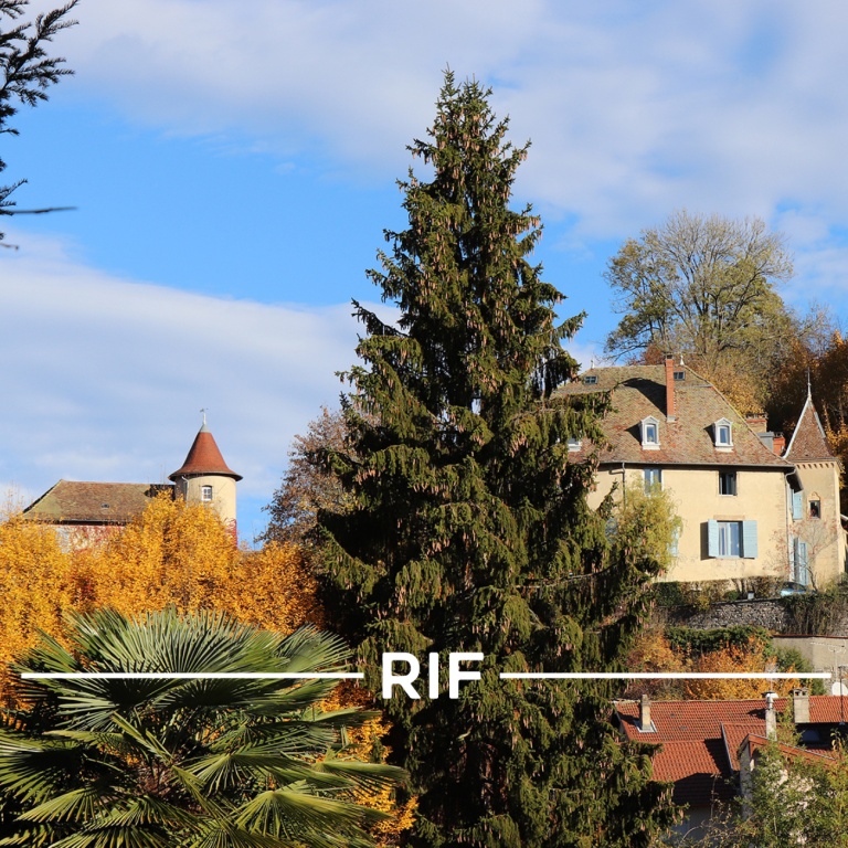 acheter-une-maison-tour-du-pin